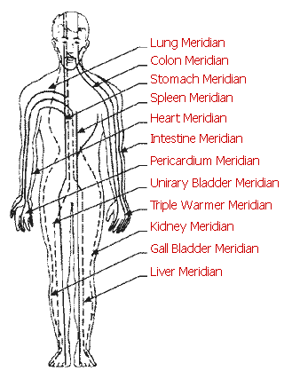 Meridians provides flow of Chi