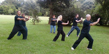 Tai Chi class at the Emmerentia Dam